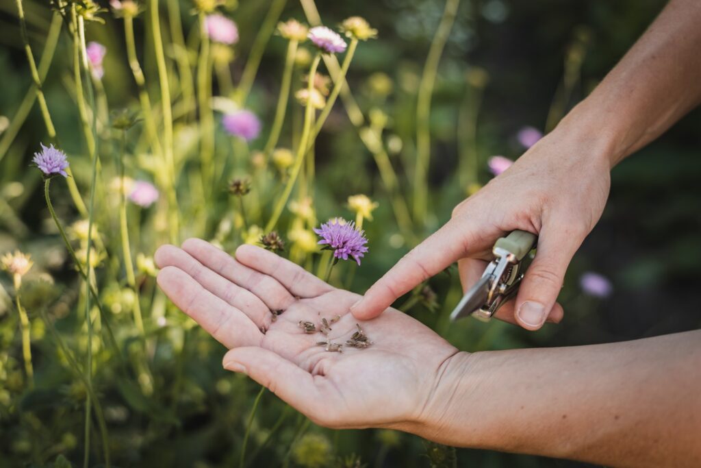 Ecologisch tuinontwerp Utrecht Soest