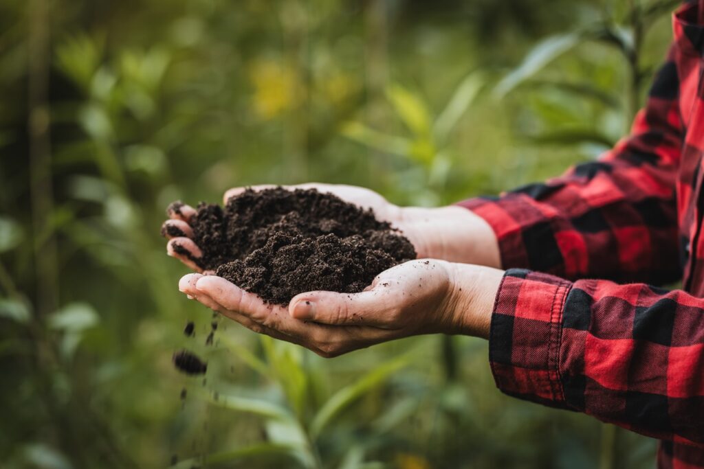 Natuurlijke tuin laten maken