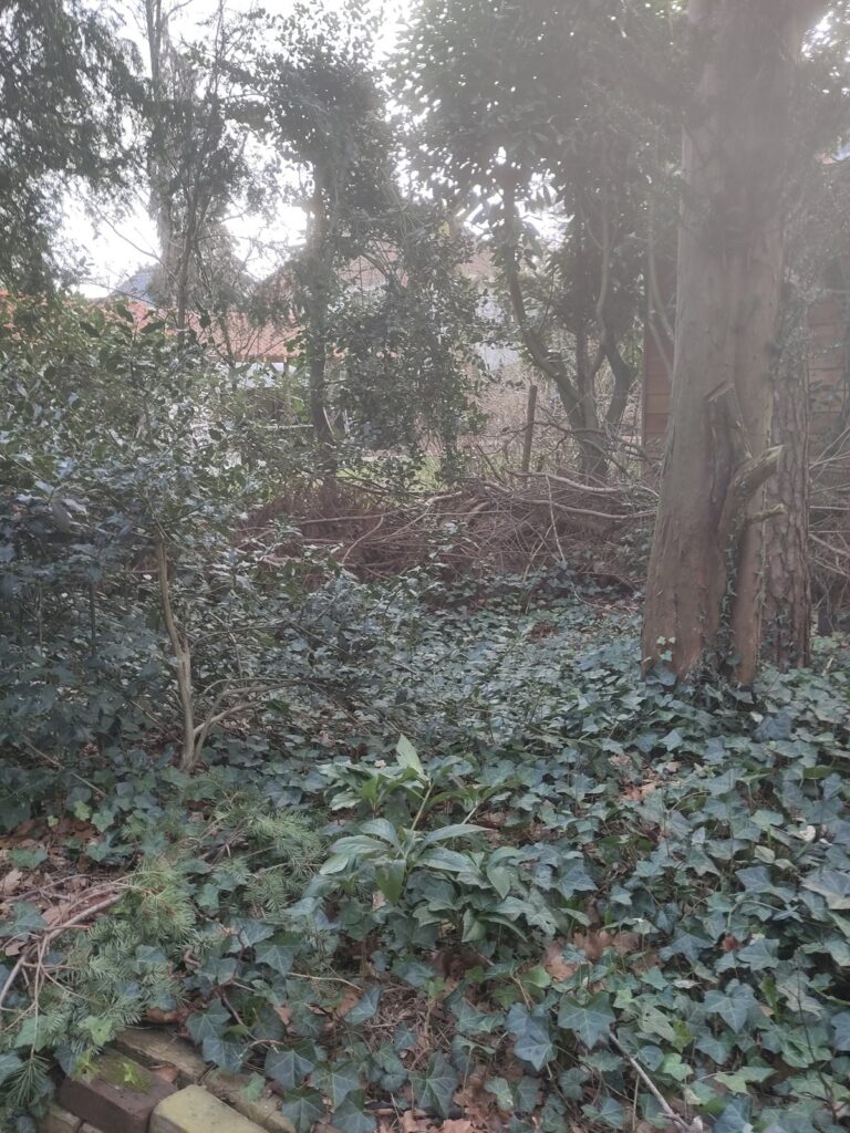 Niet tevreden met tuin in Bilthoven