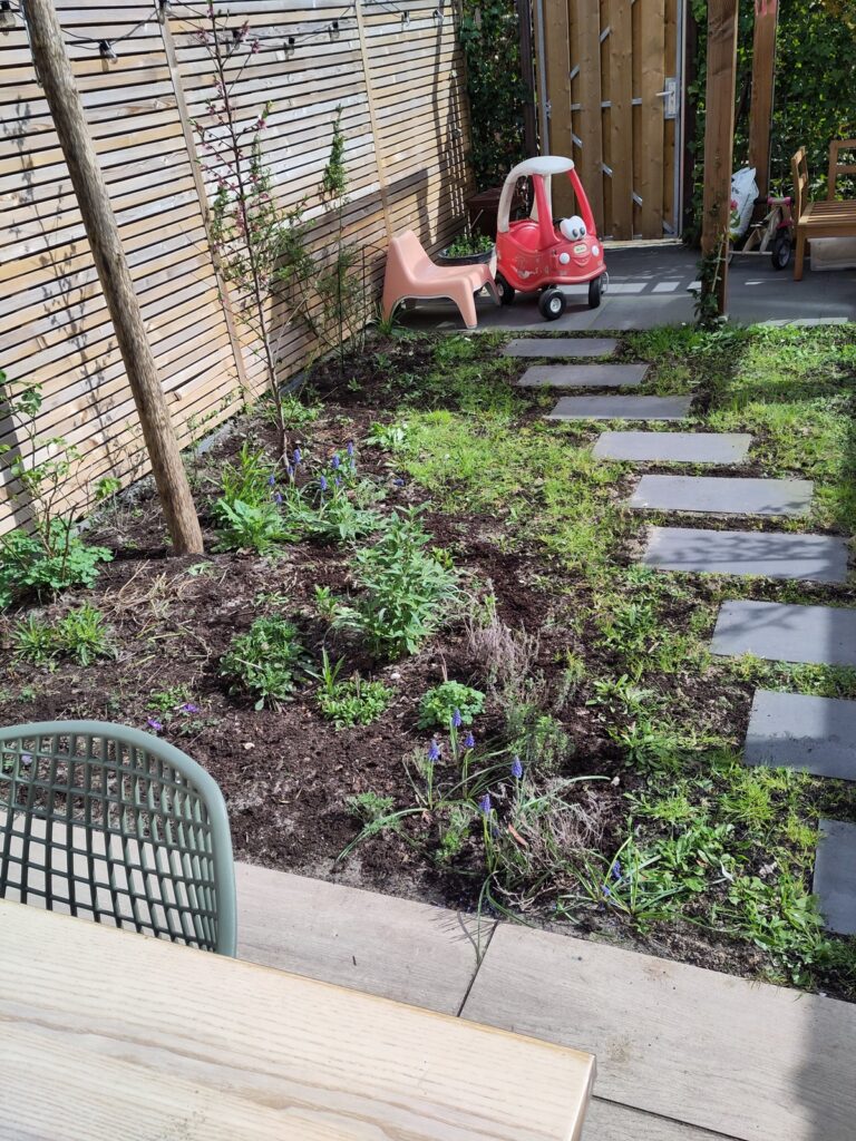 bloeiende voorjaarsbollen in de tuin Utrecht