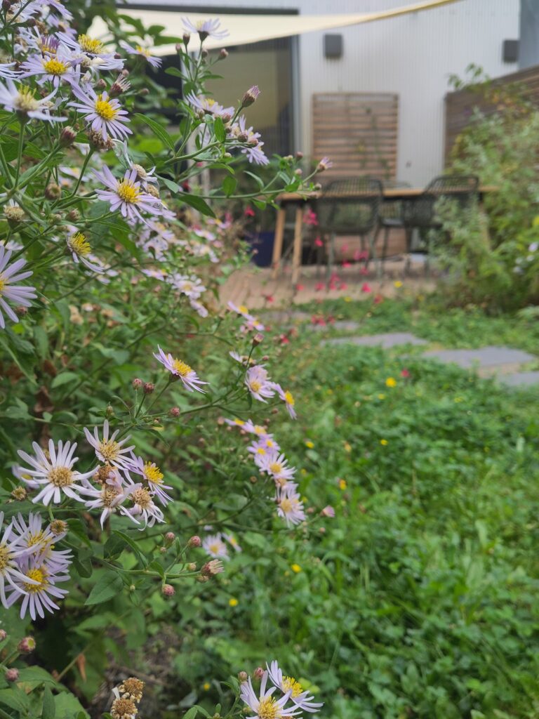 Zithoekje tuin creëren hoe?