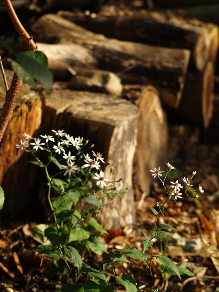 Insectenhotel in de tuin