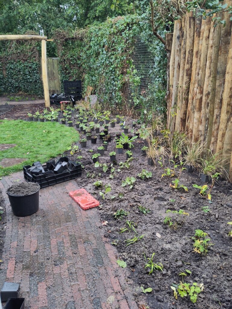 Planten uitzetten in inplanten Zeist