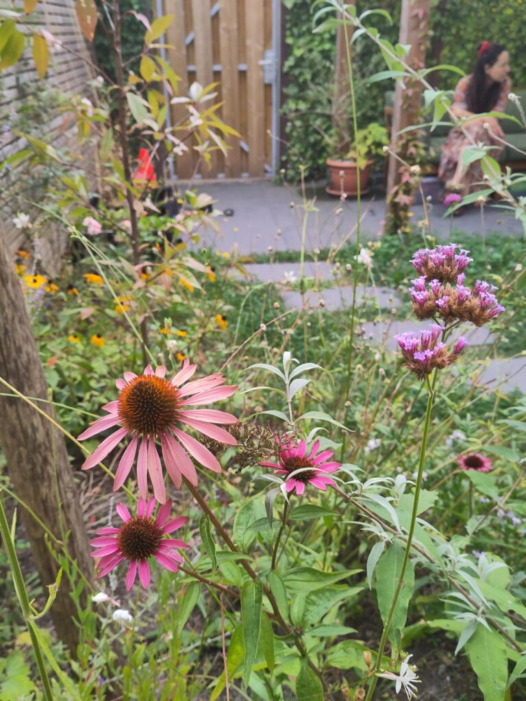 Hoe krijg je meer bloei en kleur in de tuin in Utrecht